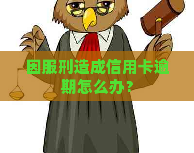 因服刑造成信用卡逾期怎么办？