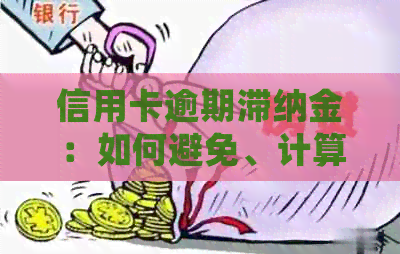 信用卡逾期滞纳金：如何避免、计算与退还详细解析及相关建议