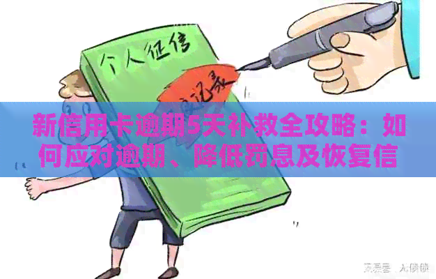 新信用卡逾期5天补救全攻略：如何应对逾期、降低罚息及恢复信用？