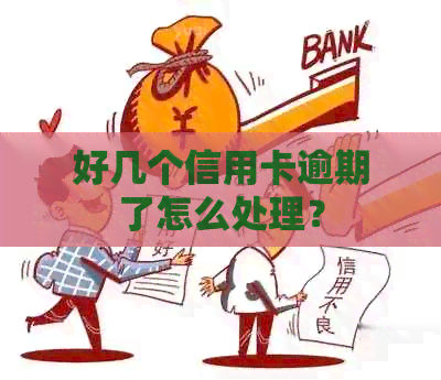好几个信用卡逾期了怎么处理？