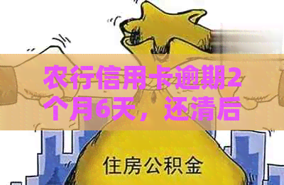 农行信用卡逾期2个月6天，还清后能否继续使用？第三方频繁电话怎么办？