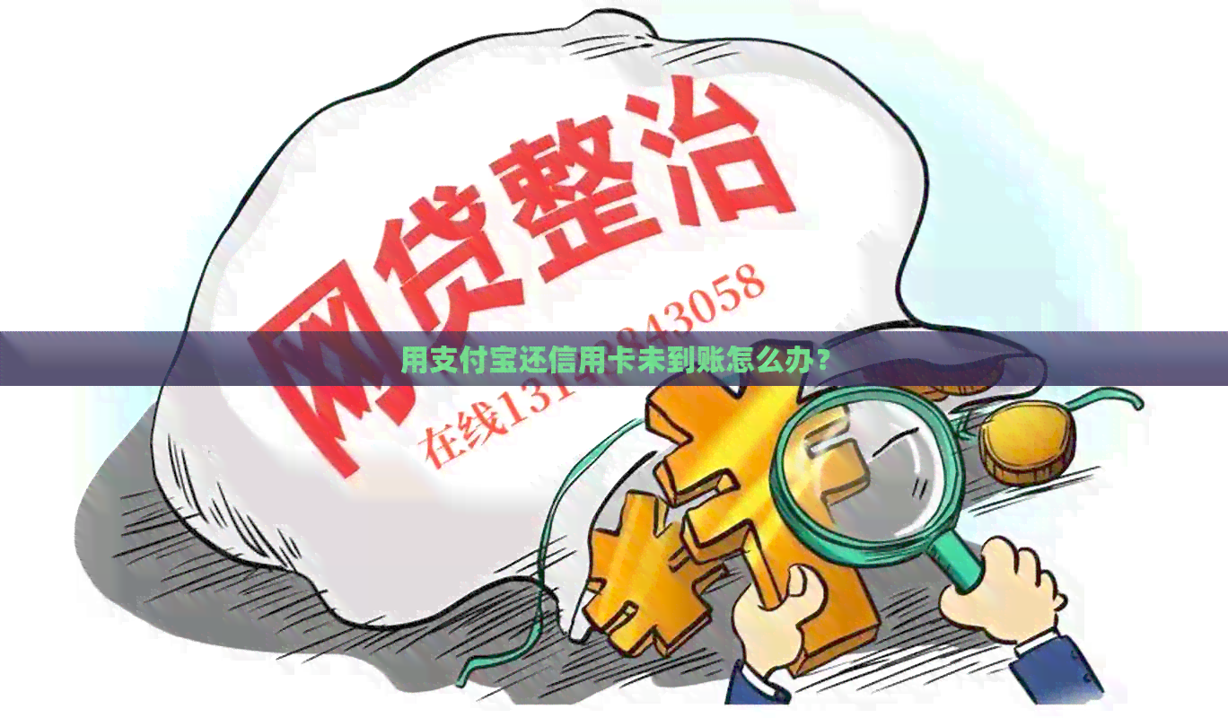 用支付宝还信用卡未到账怎么办？