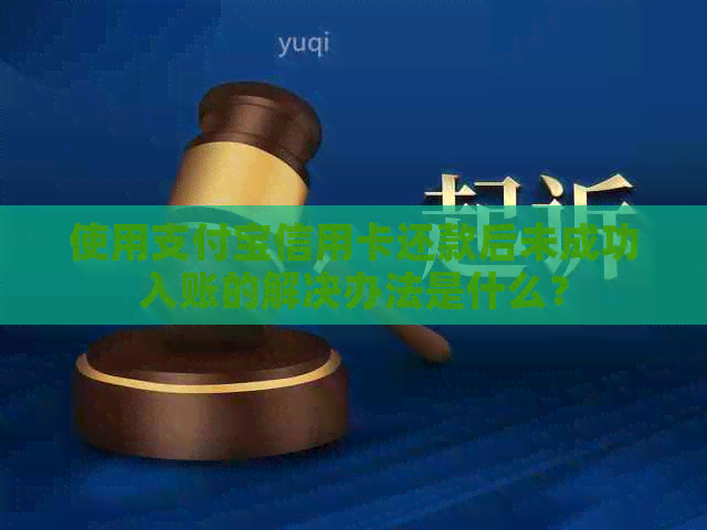使用支付宝信用卡还款后未成功入账的解决办法是什么？