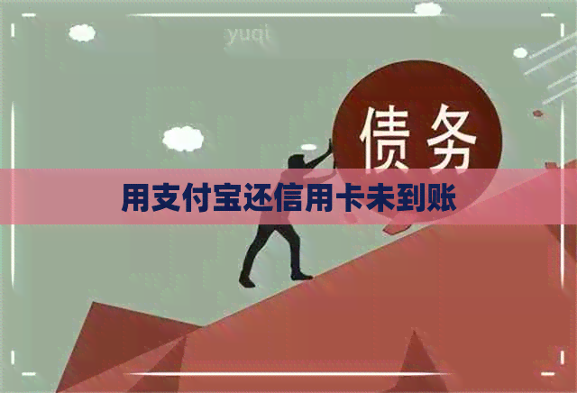 用支付宝还信用卡未到账
