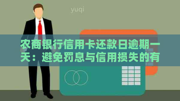 农商银行信用卡还款日逾期一天：避免罚息与信用损失的有效策略