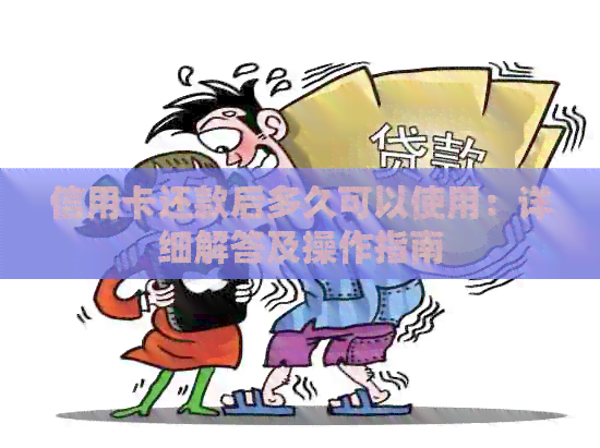 信用卡还款后多久可以使用：详细解答及操作指南