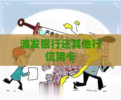 浦发银行还其他行信用卡