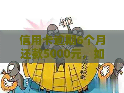 信用卡逾期6个月还款5000元，如何解决？可能的解决方案和建议