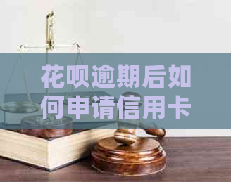 信用卡逾期后如何申请信用卡？详细步骤与注意事项一文解析