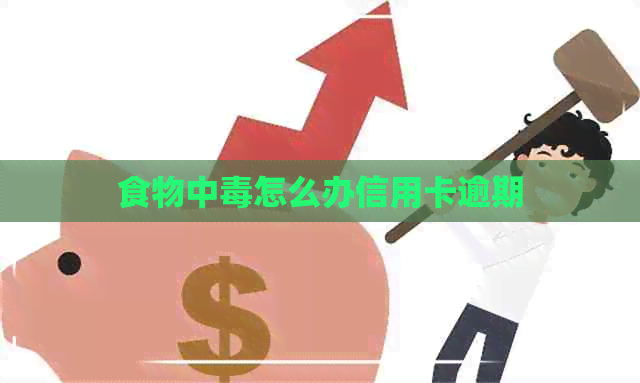 食物中怎么办信用卡逾期