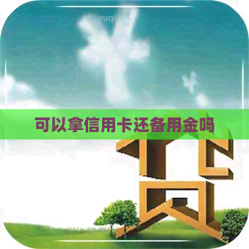 可以拿信用卡还备用金吗