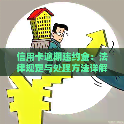 信用卡逾期违约金：法律规定与处理方法详解