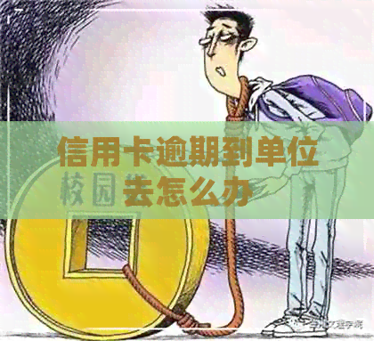 信用卡逾期到单位去怎么办