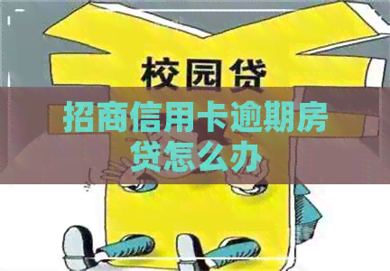 招商信用卡逾期房贷怎么办