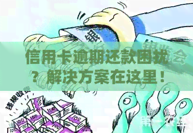 信用卡逾期还款困扰？解决方案在这里！