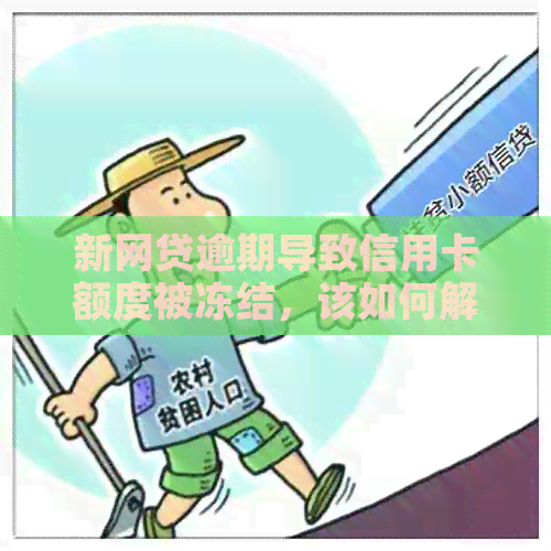 新网贷逾期导致信用卡额度被冻结，该如何解决？