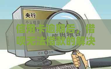 信用卡逾期后，网贷无法借款的解决方案及相关建议