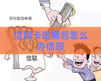 信用卡逾期后怎么办网贷