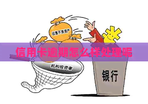信用卡逾期怎么样处理呢