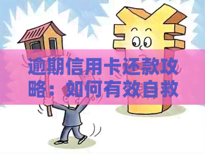 逾期信用卡还款攻略：如何有效自救与避免影响