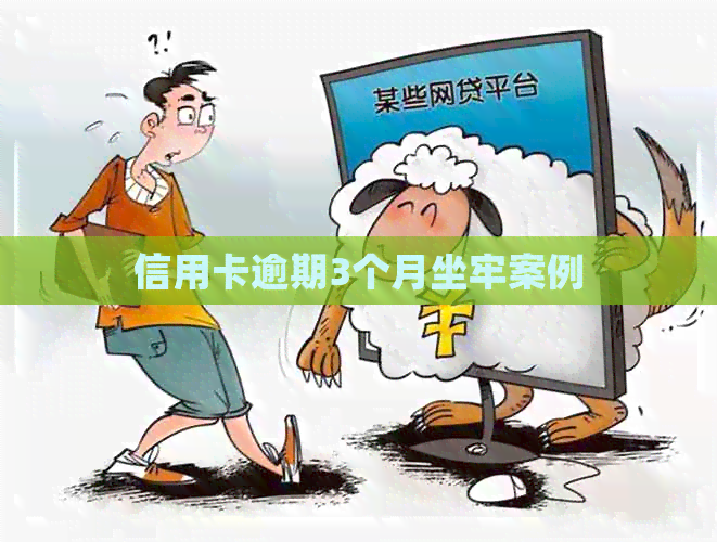 信用卡逾期3个月坐牢案例