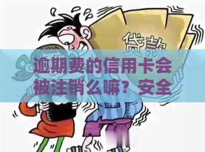 逾期费的信用卡会被注销么嘛？安全吗？