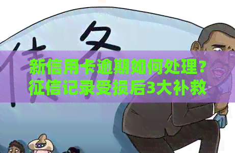 新信用卡逾期如何处理？记录受损后3大补救措解析！