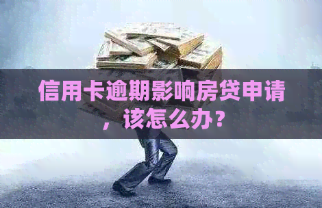信用卡逾期影响房贷申请，该怎么办？
