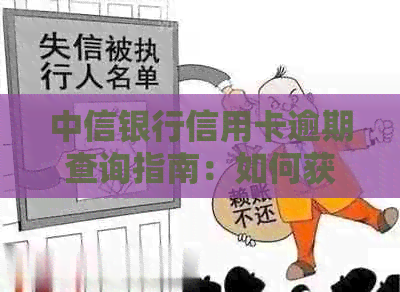 中信银行信用卡逾期查询指南：如何获取逾期通知书