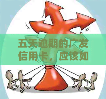 五天逾期的广发信用卡，应该如何处理？