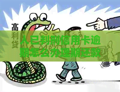 人已判刑信用卡逾期怎么办理期还款
