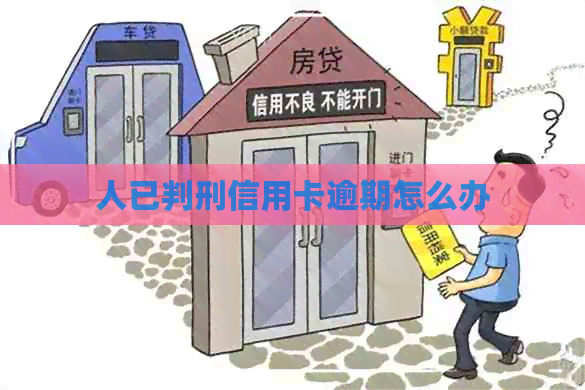 人已判刑信用卡逾期怎么办