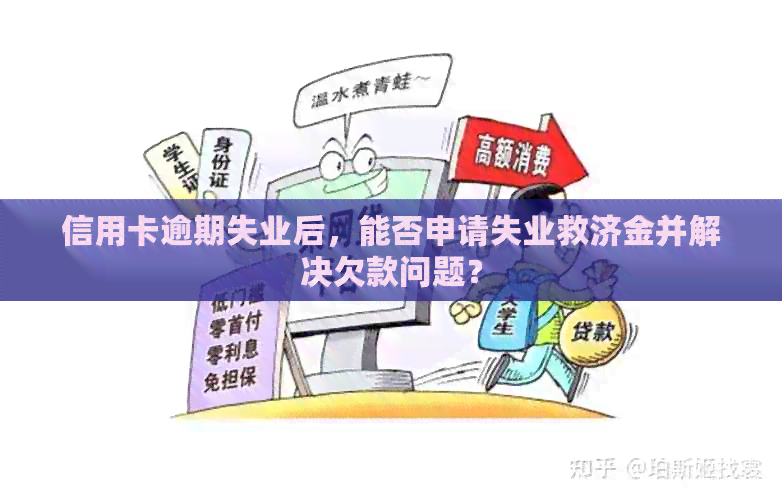 信用卡逾期失业后，能否申请失业救济金并解决欠款问题？
