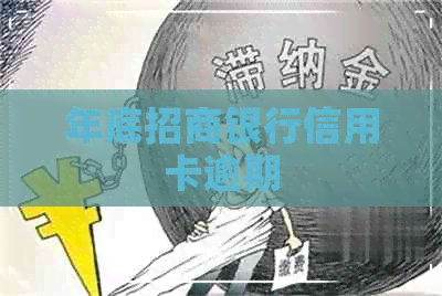 年底招商银行信用卡逾期