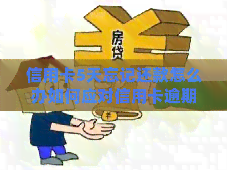 信用卡5天忘记还款怎么办如何应对信用卡逾期问题？