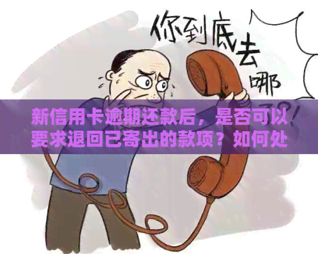 新信用卡逾期还款后，是否可以要求退回已寄出的款项？如何处理？
