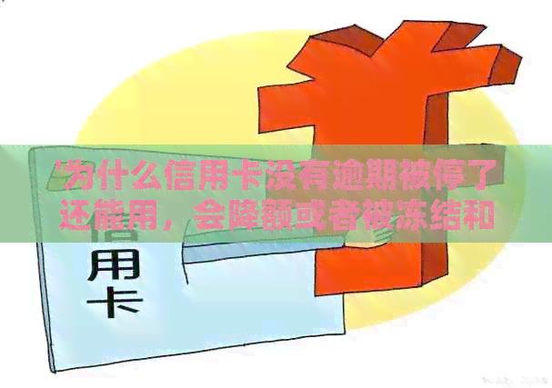'为什么信用卡没有逾期被停了还能用，会降额或者被冻结和核销？'