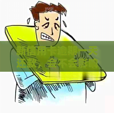 新信用卡逾期一天还款，会不会影响个人信用？如何尽快消除不良记录？