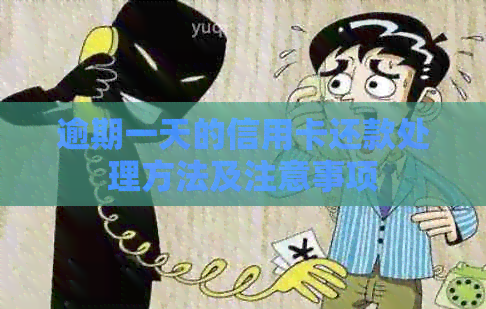 逾期一天的信用卡还款处理方法及注意事项
