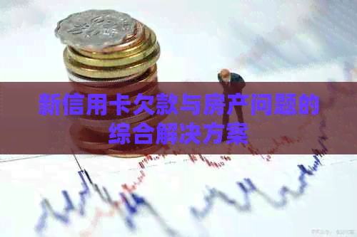 新信用卡欠款与房产问题的综合解决方案