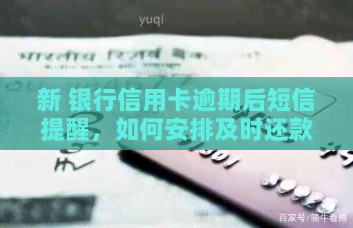 新 银行信用卡逾期后短信提醒，如何安排及时还款？