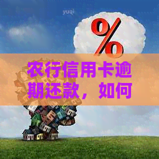 农行信用卡逾期还款，如何解决？