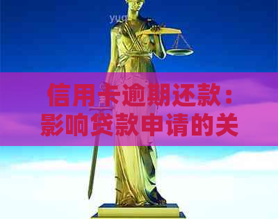 信用卡逾期还款：影响贷款申请的关键因素分析