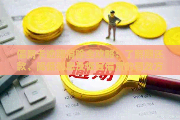 信用卡逾期消除全攻略：了解期还款、降低利息及恢复信用的有效方法