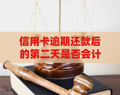 信用卡逾期还款后的第二天是否会计算逾期天数？如何解决信用卡逾期问题？