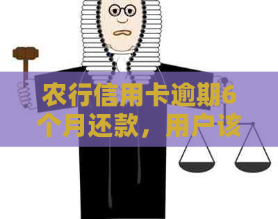 农行信用卡逾期6个月还款，用户该如何解决？