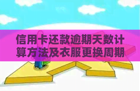 信用卡还款逾期天数计算方法及衣服更换周期全面解析