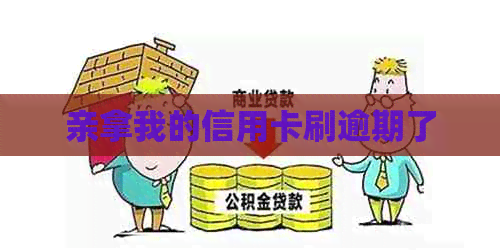 亲拿我的信用卡刷逾期了