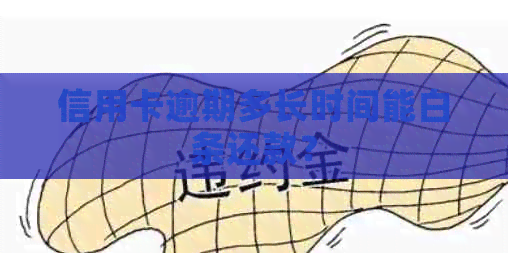 信用卡逾期多长时间能白条还款？