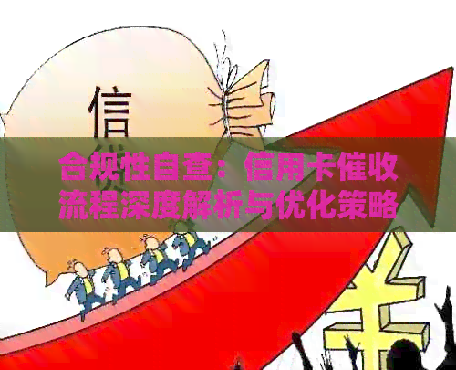 合规性自查：信用卡流程深度解析与优化策略